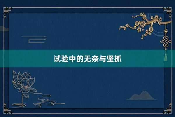 试验中的无奈与坚抓