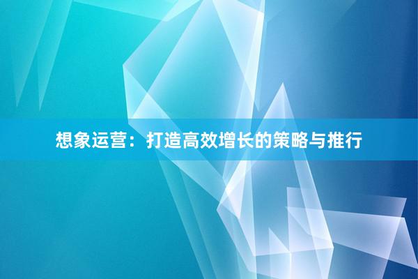 想象运营：打造高效增长的策略与推行