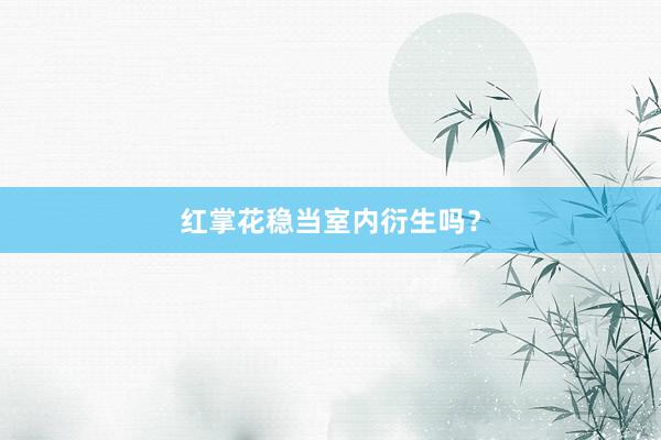 红掌花稳当室内衍生吗？