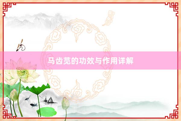 马齿苋的功效与作用详解