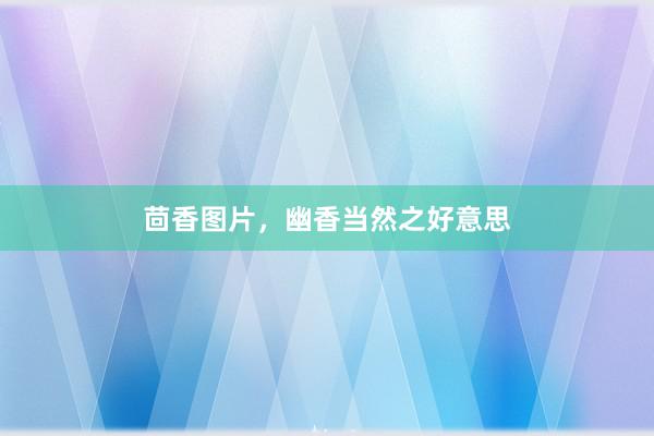 茴香图片，幽香当然之好意思