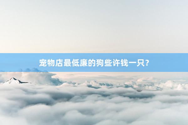 宠物店最低廉的狗些许钱一只？
