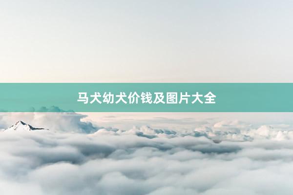 马犬幼犬价钱及图片大全